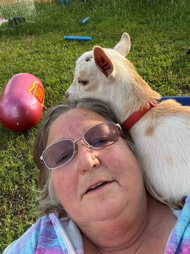 Photo of Little Wiggles Daycare - Elizabeth, CO