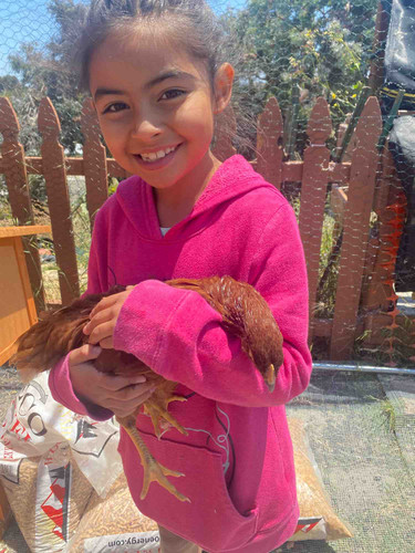 Photo of Melody’s Pond Preschool - San Pablo, CA