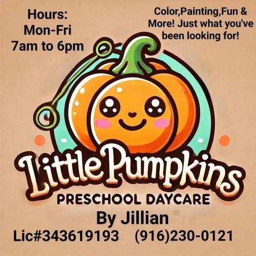 Photo of Little Pumpkins Daycare