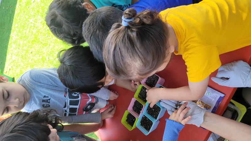 Photo of Wonder Place Daycare - Reseda, CA