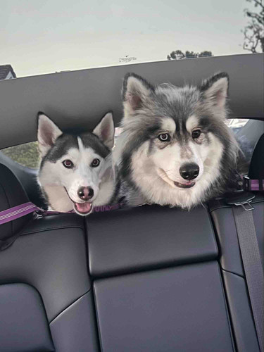 Photo of Charmsical Childcare - Irvine, CA