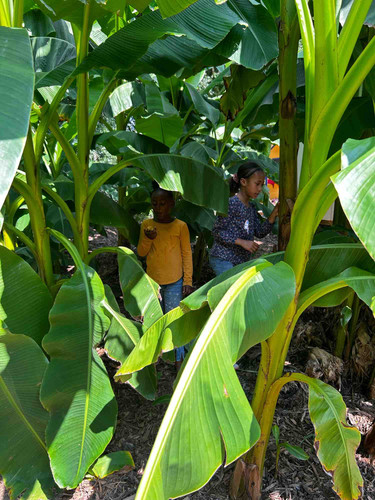 Photo of Ieda A. - Winston Salem, NC