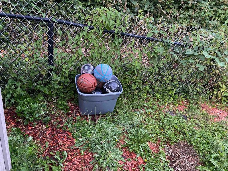 Photo of Learn N Play Childcare LLC - Seattle, WA