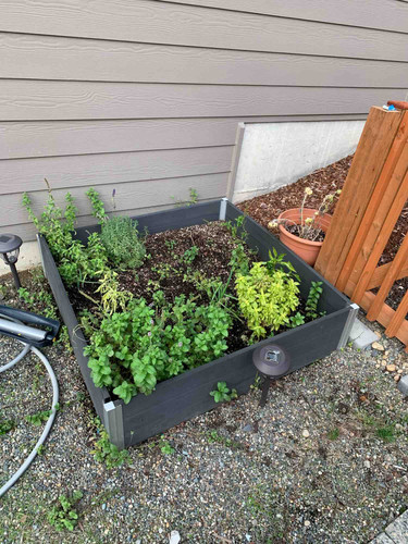 Photo of Diversity Childcare - Kent, WA