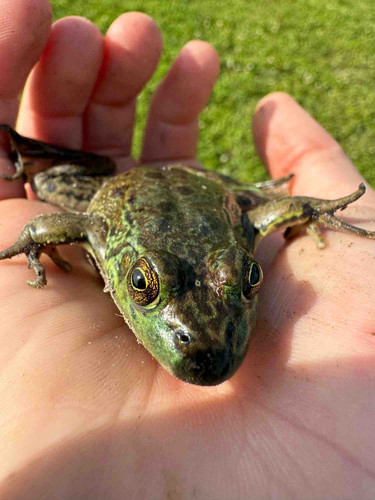 Photo of Growing Wild Daycare - Tenstrike, MN