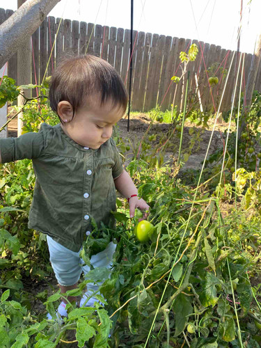 Photo of Montiel Family Childcare - Pico Rivera, CA