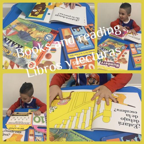 Photo of Little Ray Of Light ( Rayito De Luz ) - Syracuse, NY