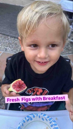 Photo of The Learning Forest Academy Daycare - Concord, CA