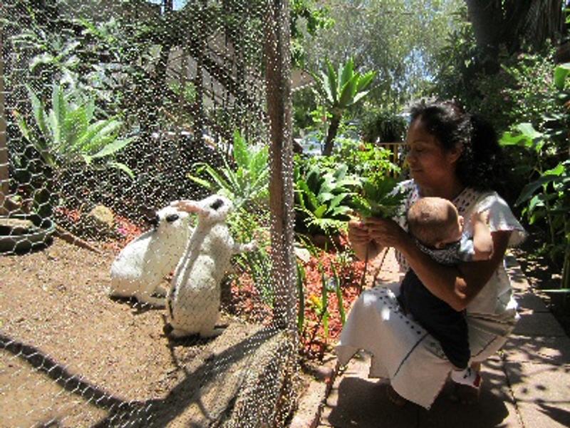 Photo of Rainforest Family Childcare - Santa Barbara, CA