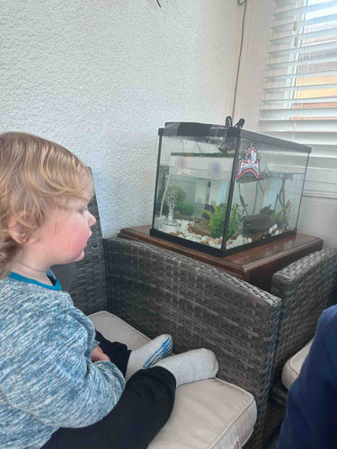 Photo of Sunshine Kids Cottage Family Childcare - Temecula, CA