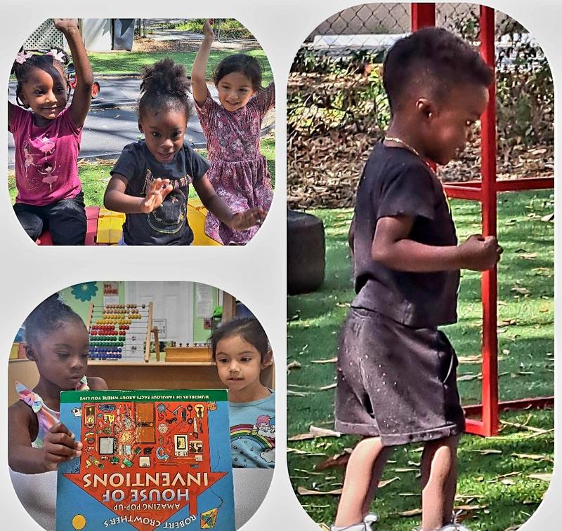 Photo of Primary Play Preschool - Clearwater, FL