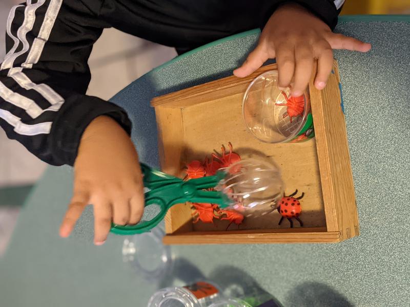 Photo of Pinwheel Family Child Care Daycare - San Ysidro, CA