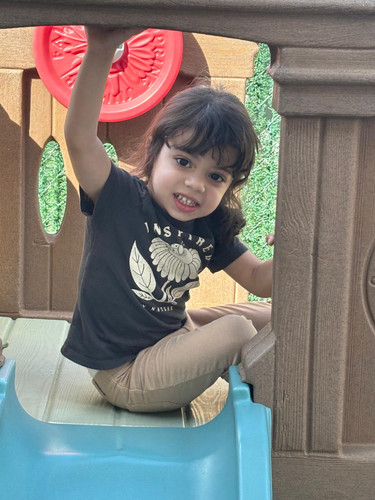 Photo of Happy Little Crabs