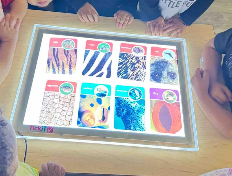 Photo of Kids Konnect Daycare - San Lorenzo, CA