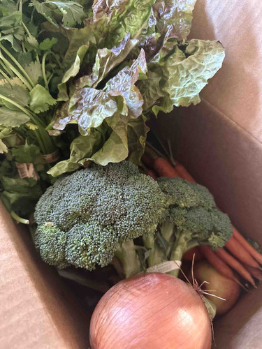 Photo of Wild Blooms Childcare - Chula Vista, CA