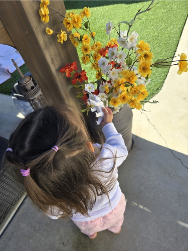 Photo of Sauceda, Maria Family Child Care - Vista, CA