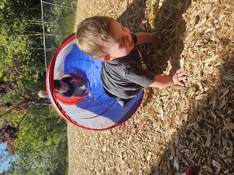 Photo of My Second Home Bilingual Learning Center - Lake Tapps, WA