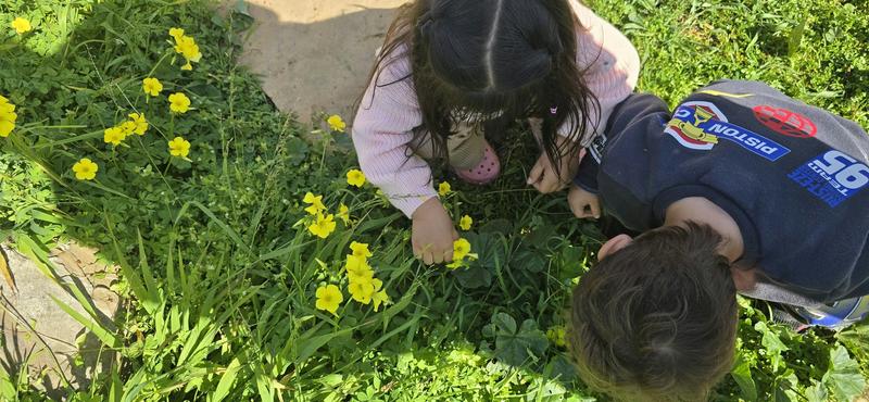 Photo of La Paz Daycare