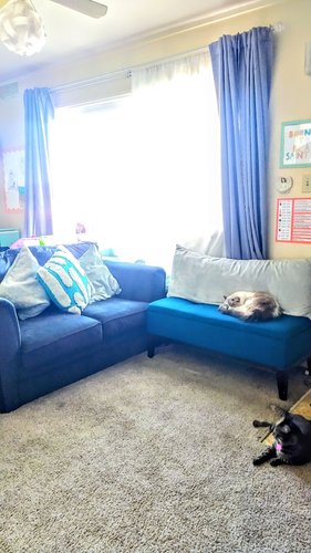 Photo of Little Saints Daycare - San Diego, CA