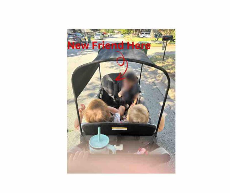 Photo of Amanda G. - Grapevine, TX