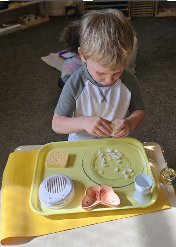 Photo of Stepping Stones In Kamas - Kamas, UT