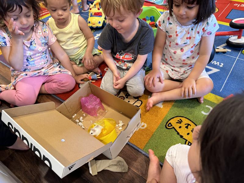 Photo of Happy Montessori Daycare - Los Angeles, CA