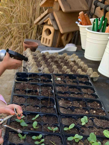 Photo of Sol Atelier - Orcutt, CA