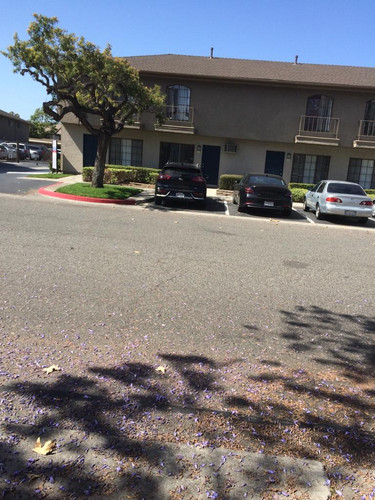 Photo of Little Sunflower Daycare - Buena Park, CA