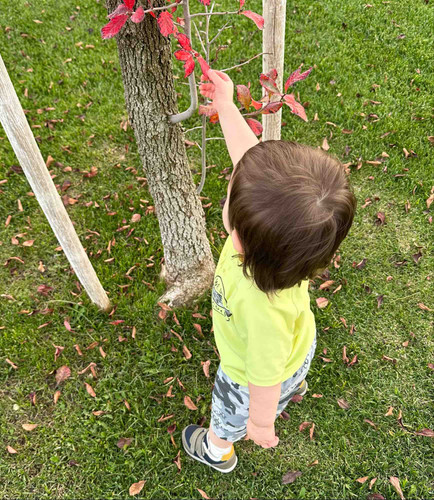 Photo of Ortiz Heaven Family Childcare - Bakersfield, CA