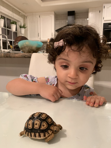 Photo of Pani Daycare - Anaheim, CA