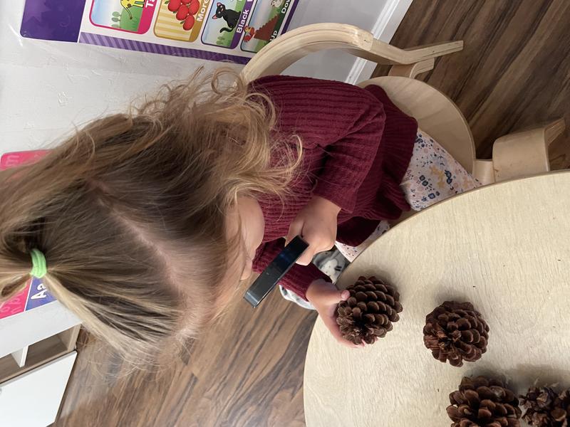 Photo of Beech Tree Academy - Chula Vista, CA