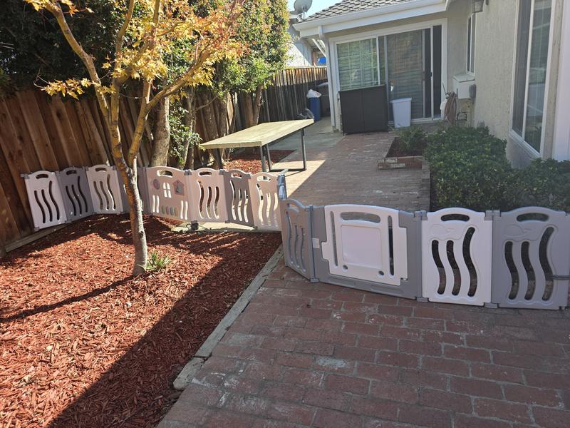 Photo of Estrellitas De Colores Day Care - San Jose, CA