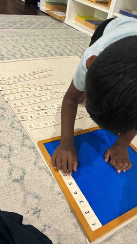 Photo of The Lotus Montessori School - Naperville, IL