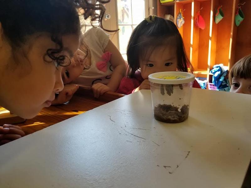 Photo of Ocampo Fam. Daycare - Los angeles, CA