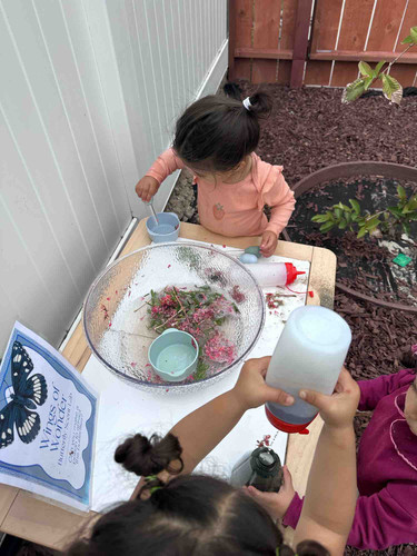 Photo of Wild Blooms Childcare - Chula Vista, CA