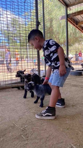 Photo of Sandyland Kids Daycare - Corona, CA