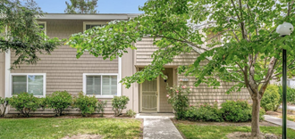 Photo of Dreambox Kids