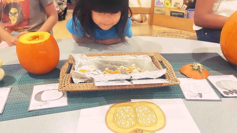 Photo of Moonstone Montessori Daycare - Diamondbar, CA