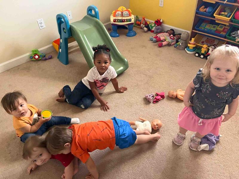 Photo of Tender Littles - Hudson, FL