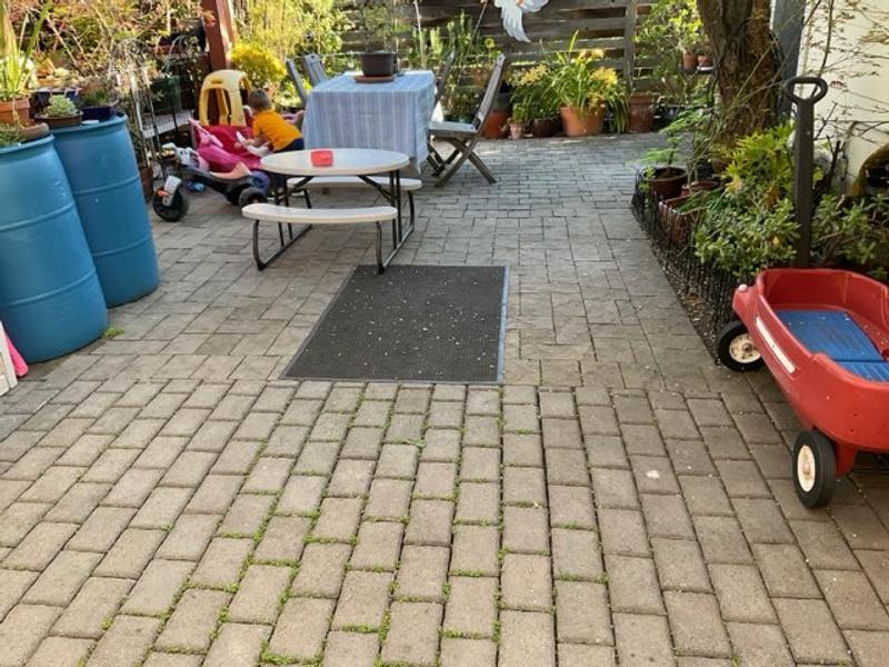 Photo of The Frog Pond Daycare - Palo Alto, CA