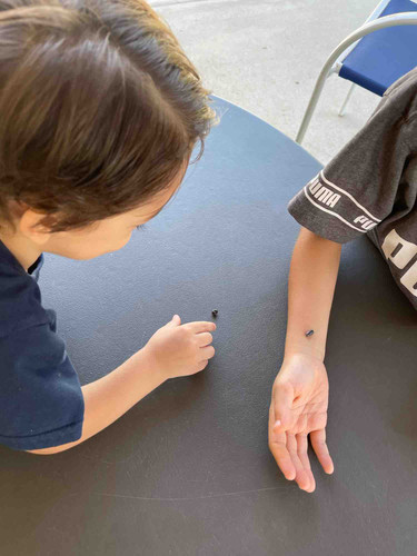 Photo of Fielder's Family Daycare - Moreno Valley, CA