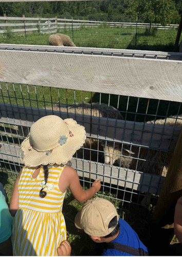 Photo of Lora Whitner Daycare - Bellwood, IL
