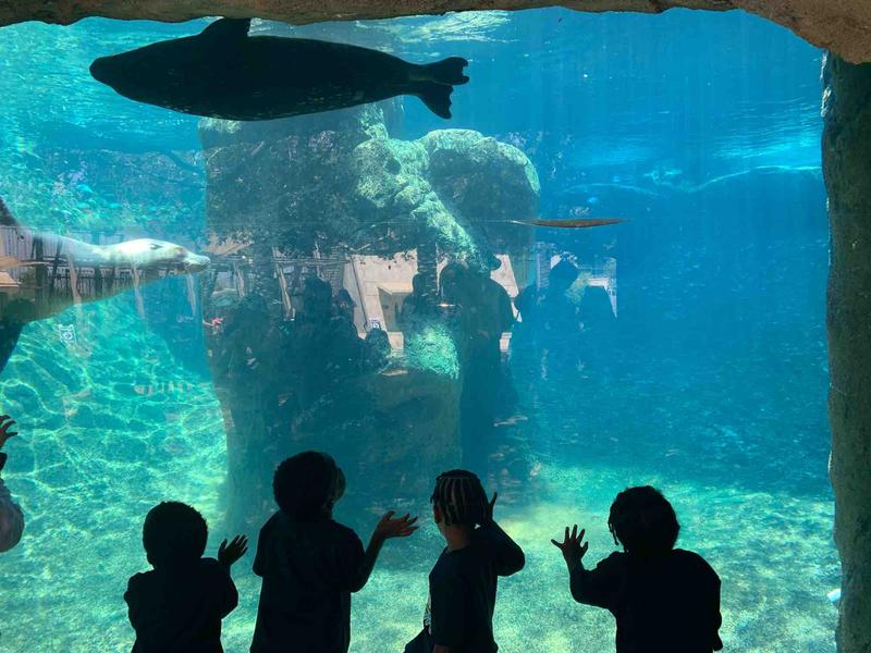 Photo of Scribbles Academy - Los Angeles, CA