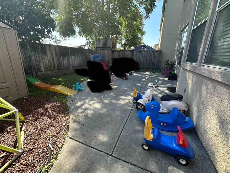 Photo of Dang Tran Daycare - San Jose, CA