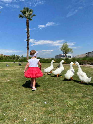 Photo of Sandyland Kids Daycare - Corona, CA