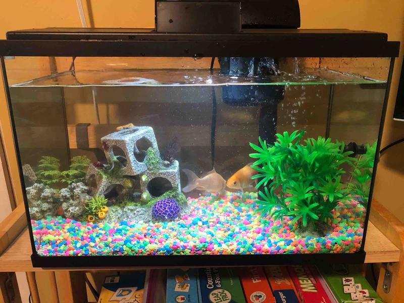 Photo of Juny Home Child Care - Roswell, GA