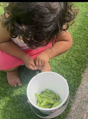 Photo of Beatriz Cruz Daycare - San Pablo, CA