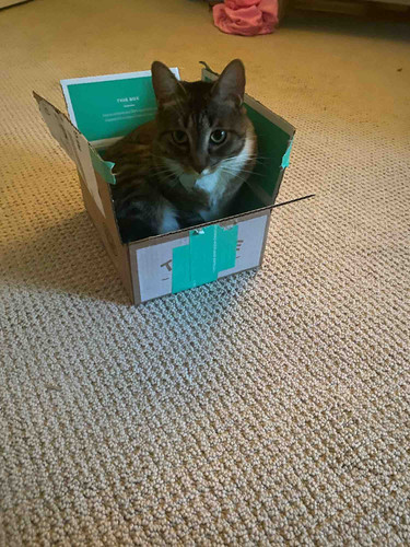 Photo of Ava I. - Northbrook, IL