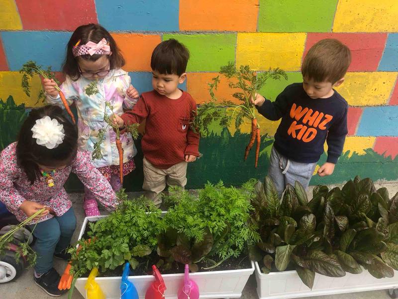 Photo of Kids Dreams Childcare Daycare - San Francisco, CA