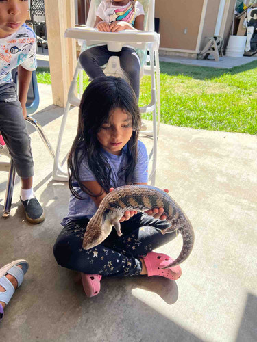 Photo of Palmer Family Childcare Daycare - Paramount, CA